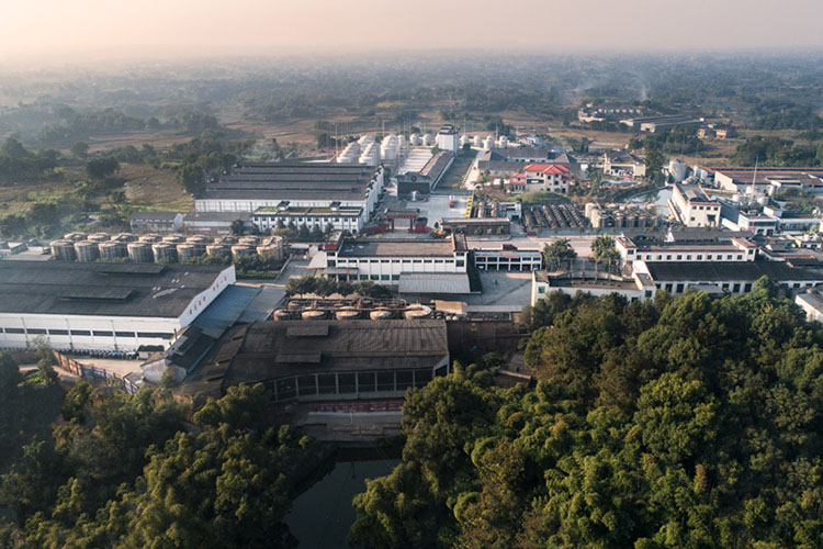 桂康酿酒基地
